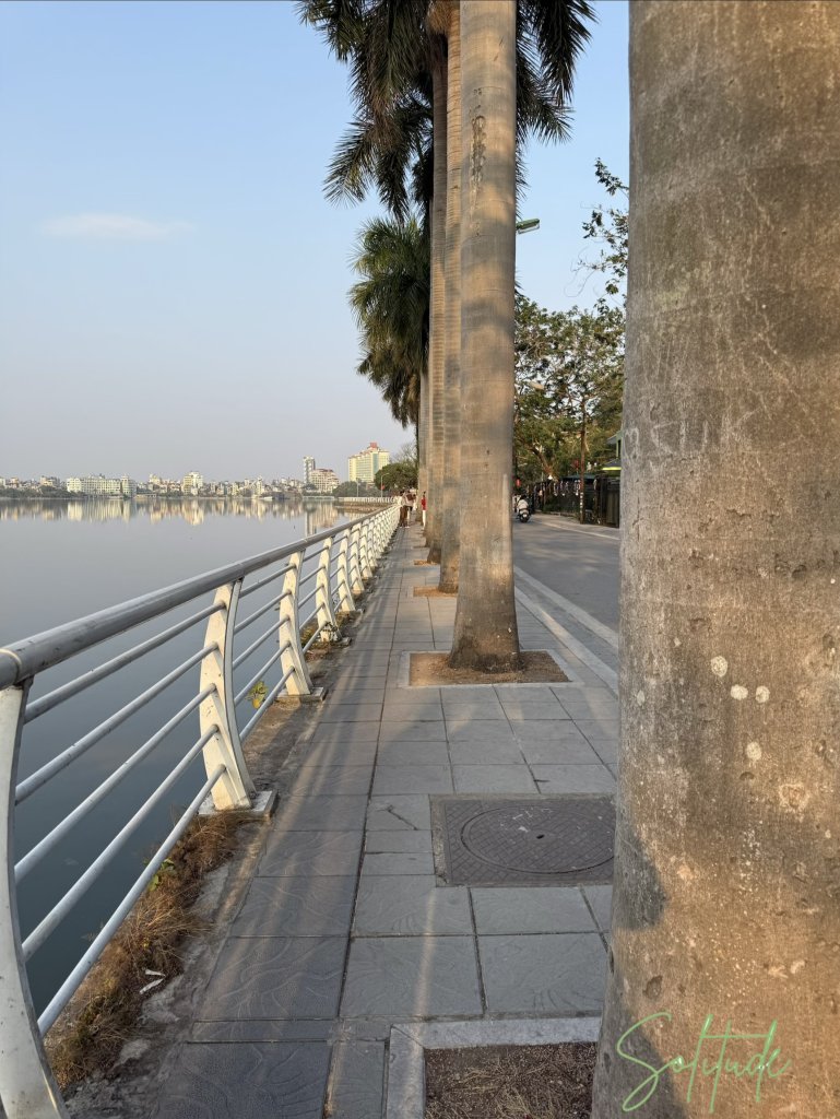 IMG_2022.jpeg