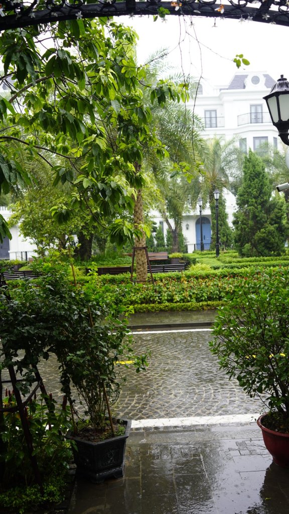 _DSC3112.jpeg