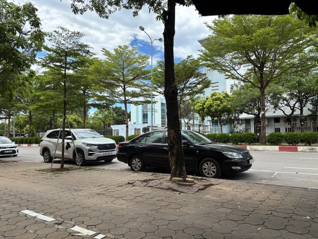 IMG_2974.jpeg