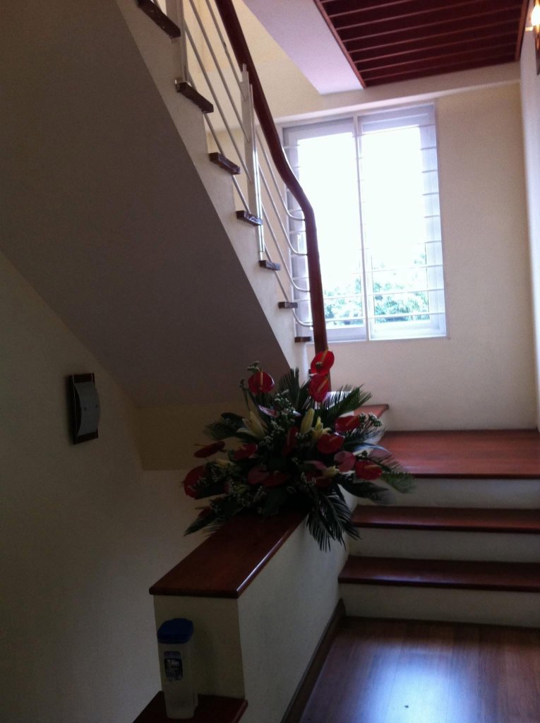 IMG_4269.jpeg