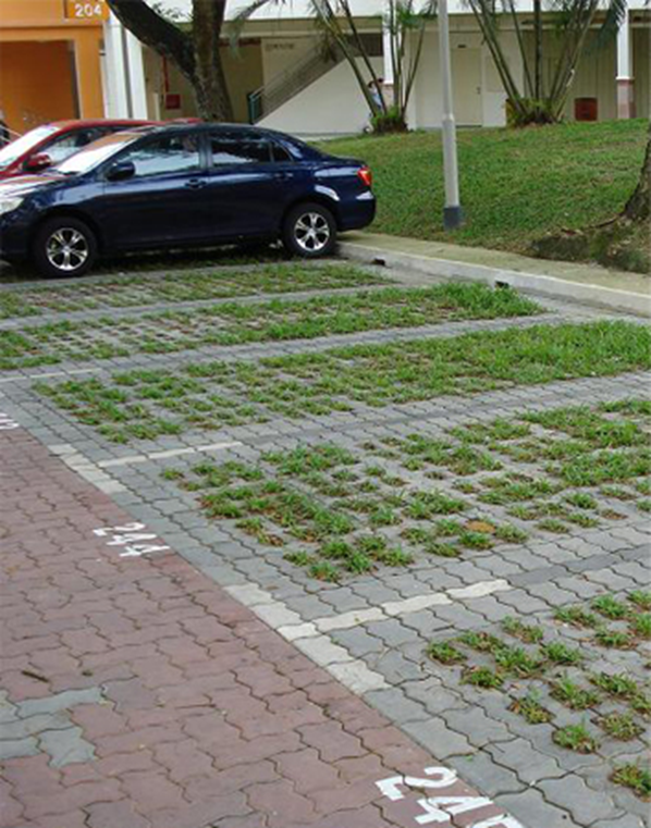 Car parking.png