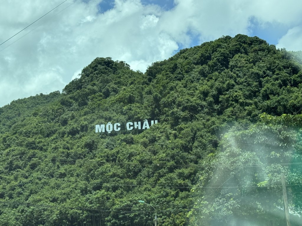 IMG_2584.jpeg