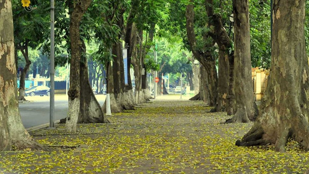 3b723d78-pho-phan-dinh-phung.jpg