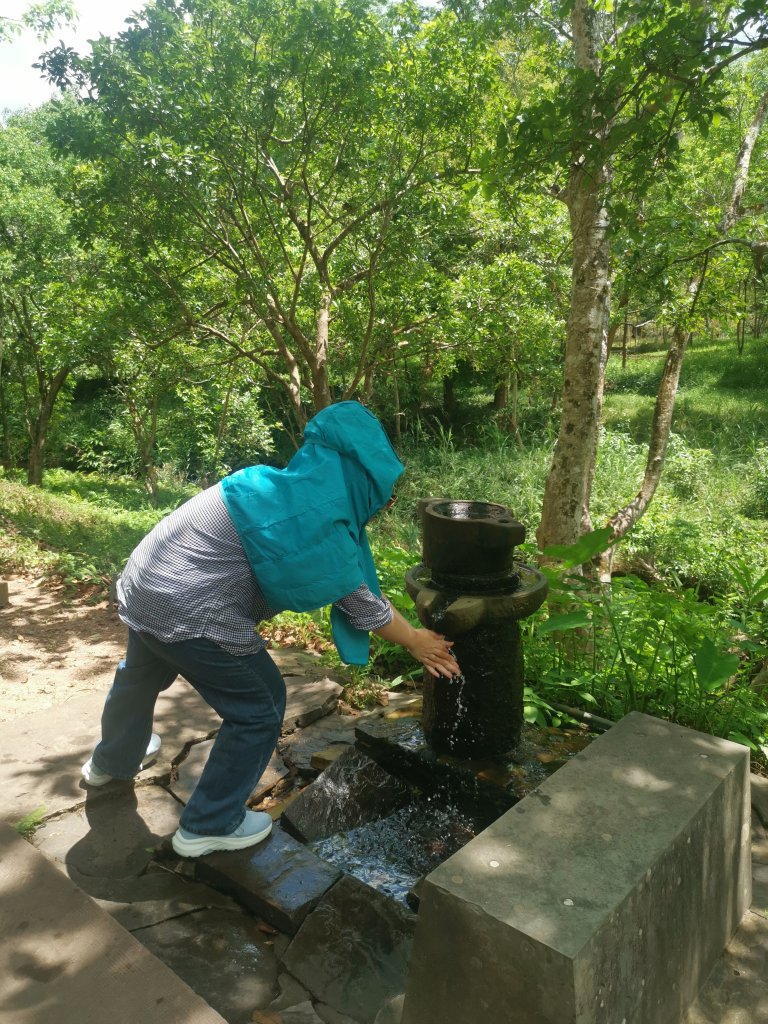IMG_20260511_104508.jpg