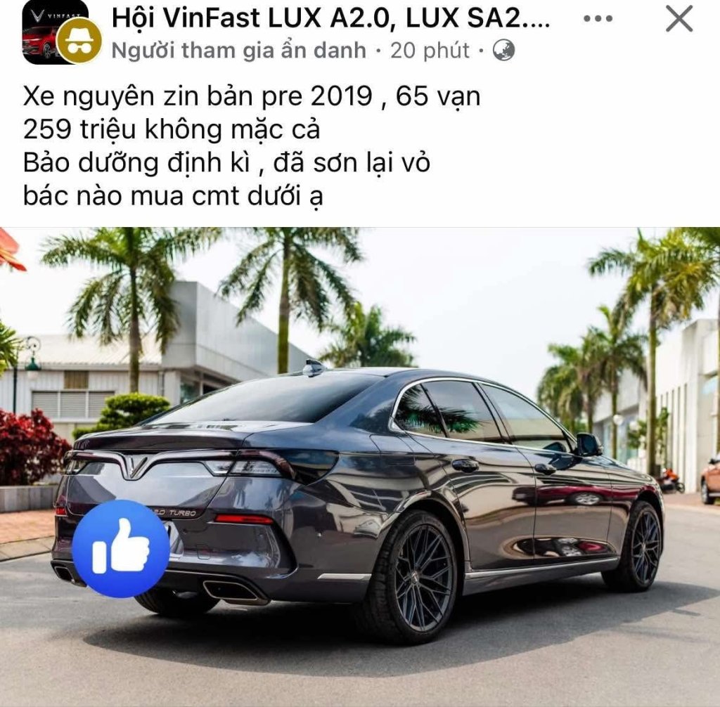 1000053609.jpg