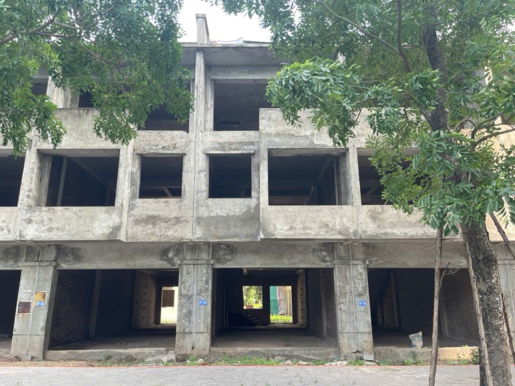 ảnh 2.jpg