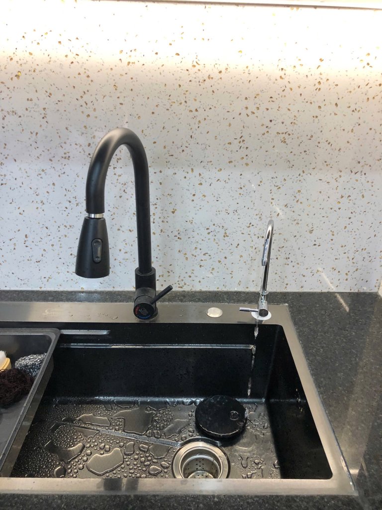 IMG_9837.jpeg