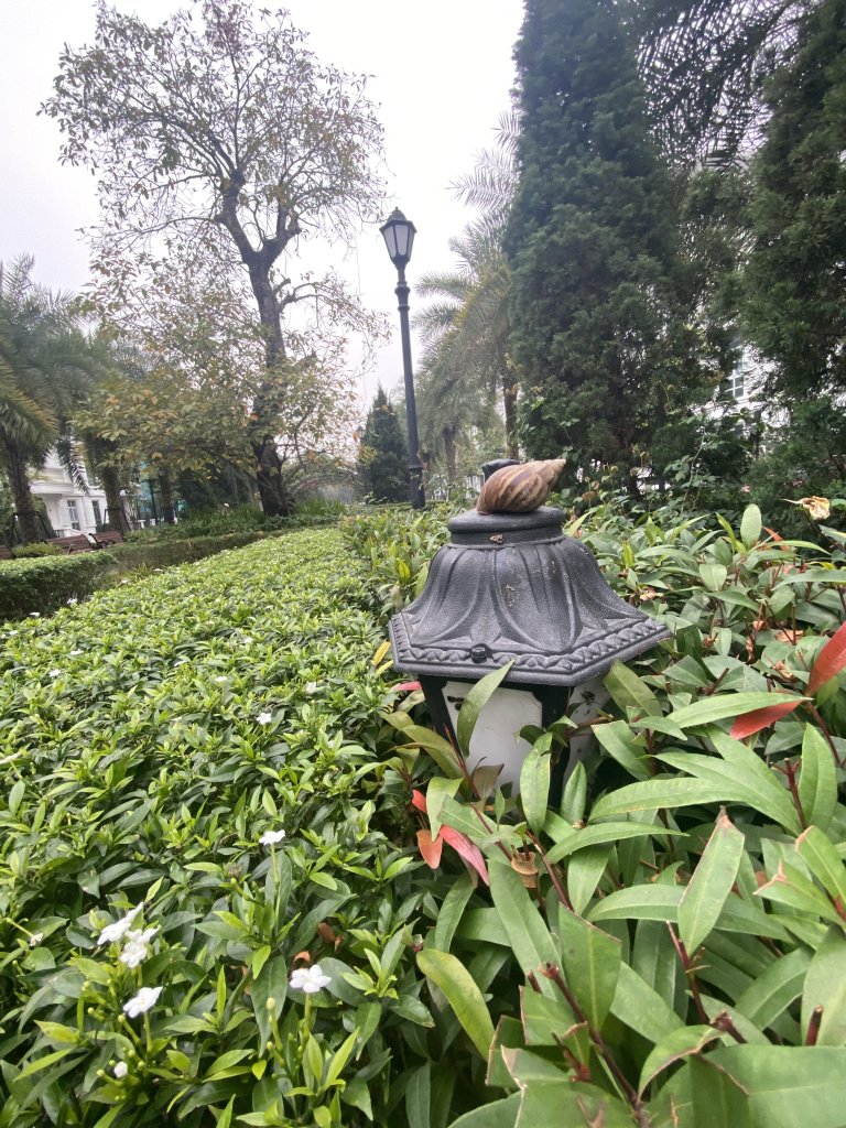 IMG_7280.jpeg