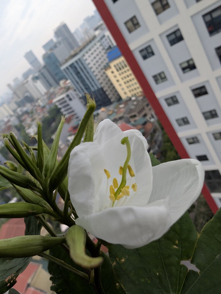 9900.jpg