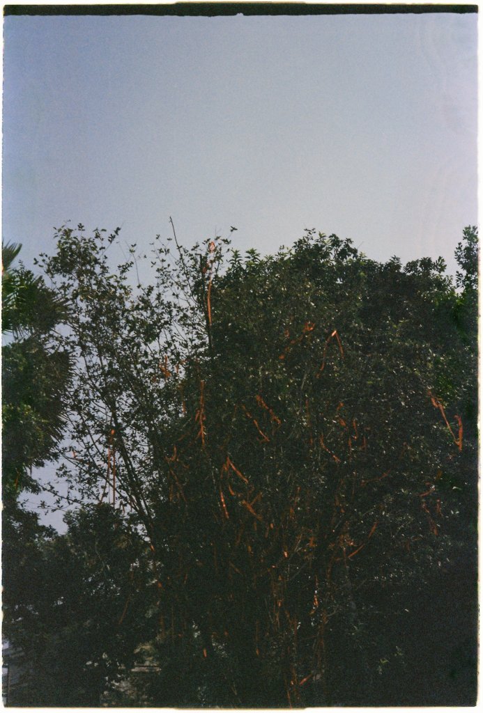 000063.JPG