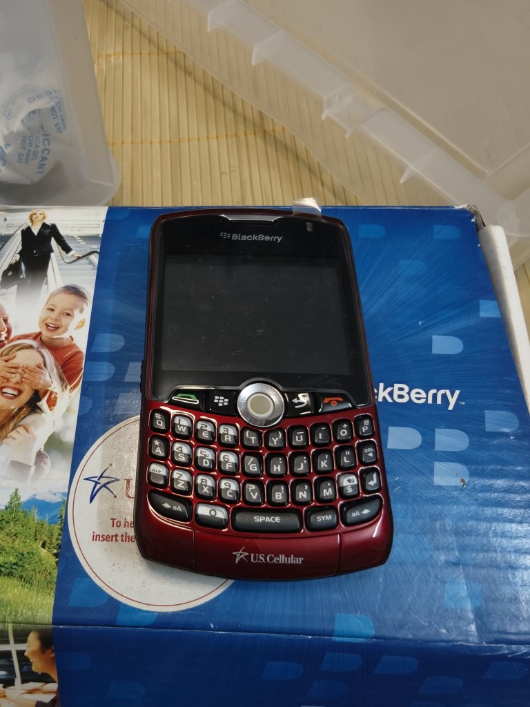 3810.jpg