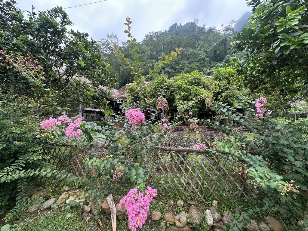 IMG_0928.jpeg