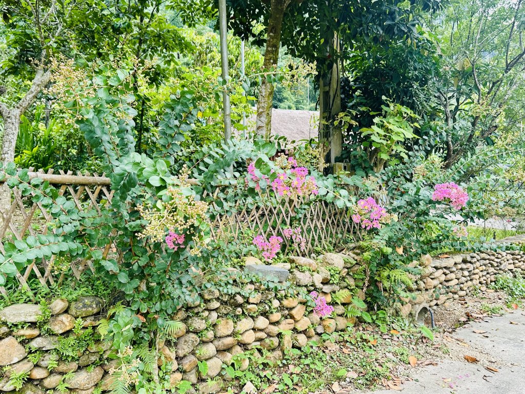 IMG_0917.jpeg