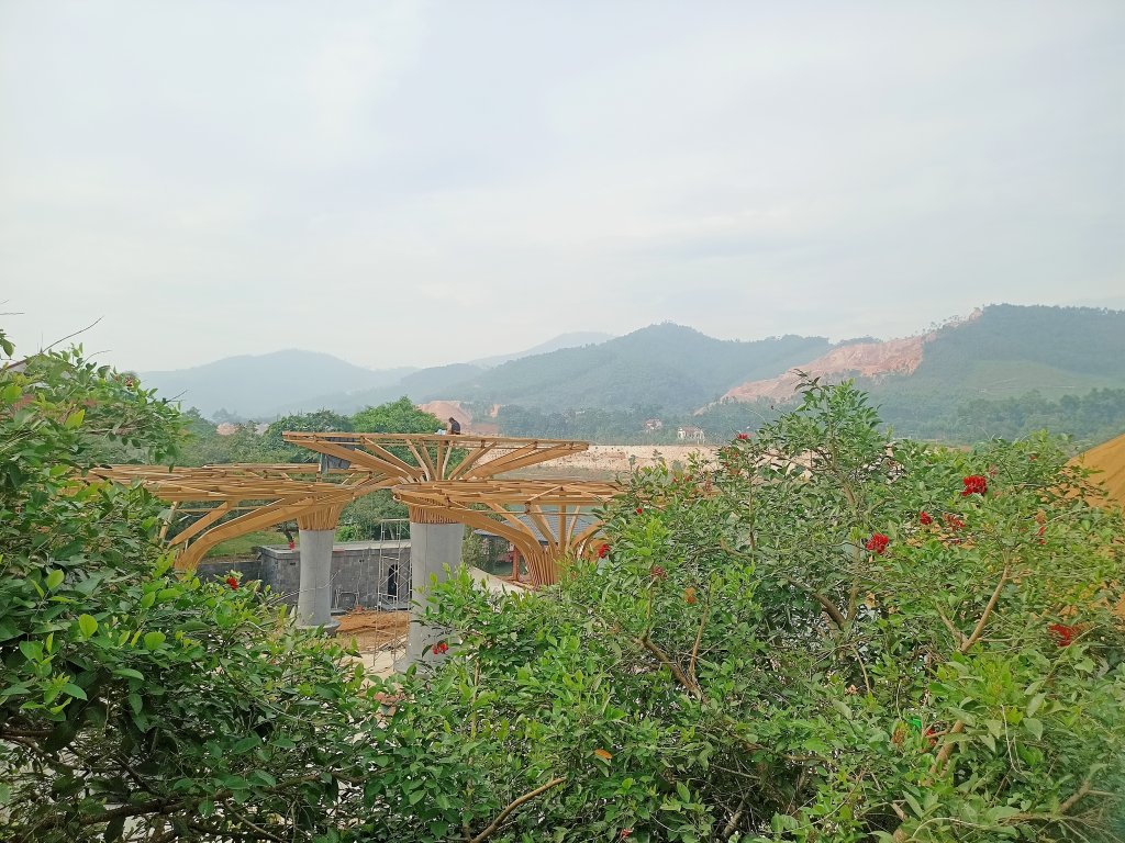 IMG20260615083437.jpg