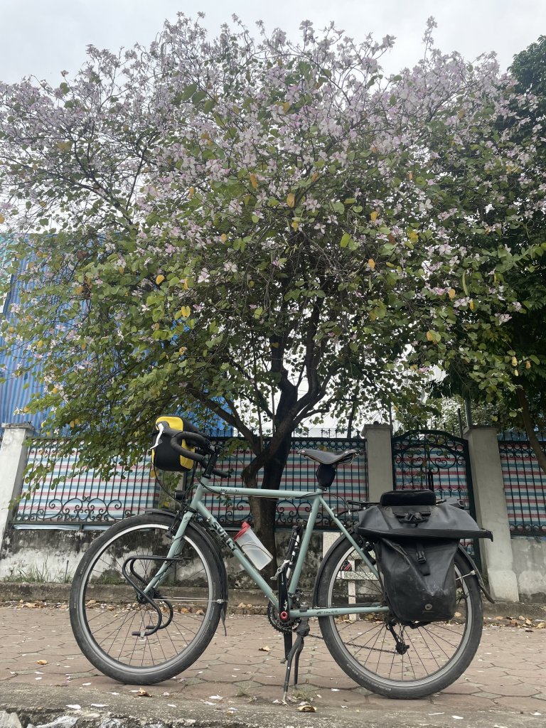 ảnh surly'.jpg