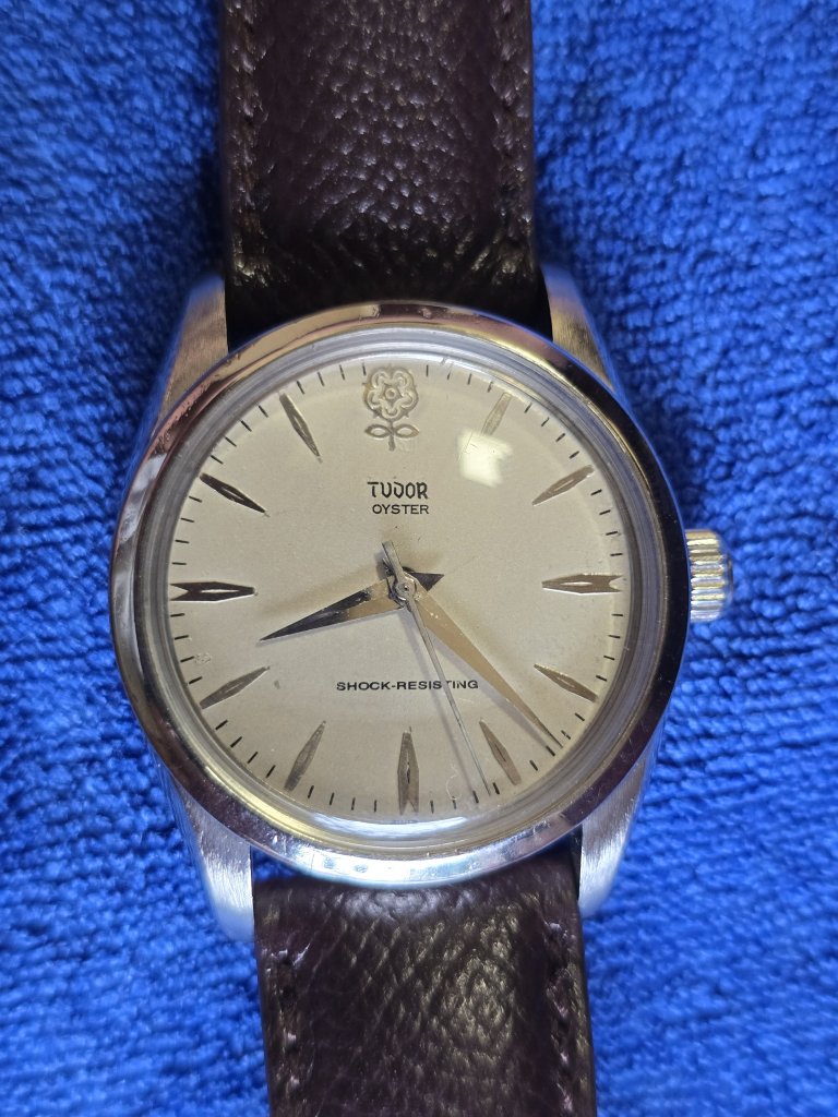 1000019664.jpg