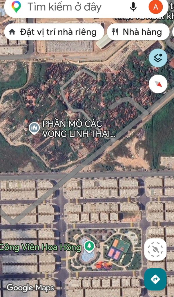 1000025597.jpg