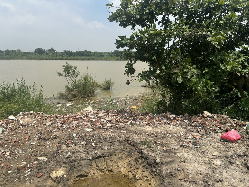 IMG_0224.jpeg