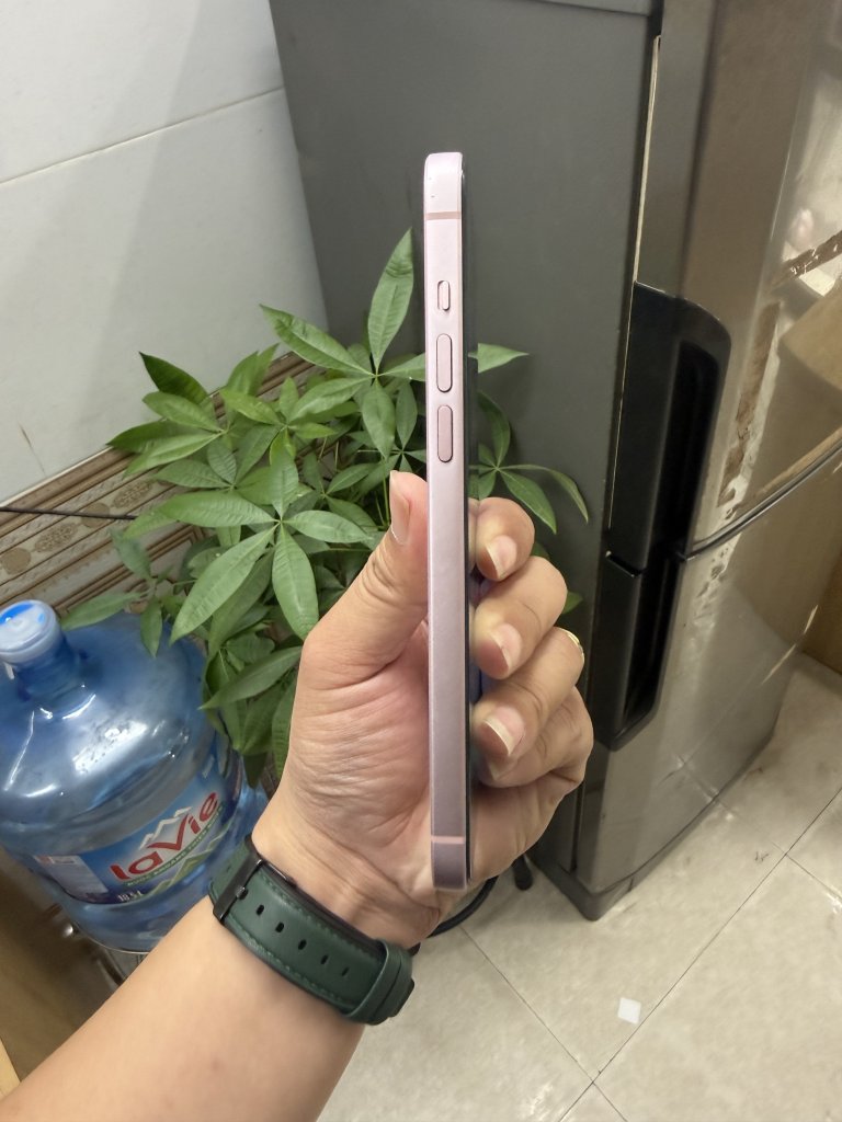 IMG_3982.jpeg
