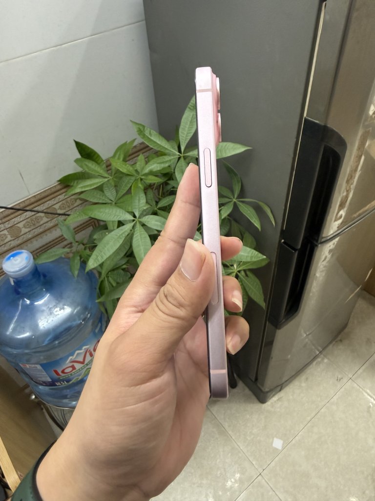 IMG_3981.jpeg