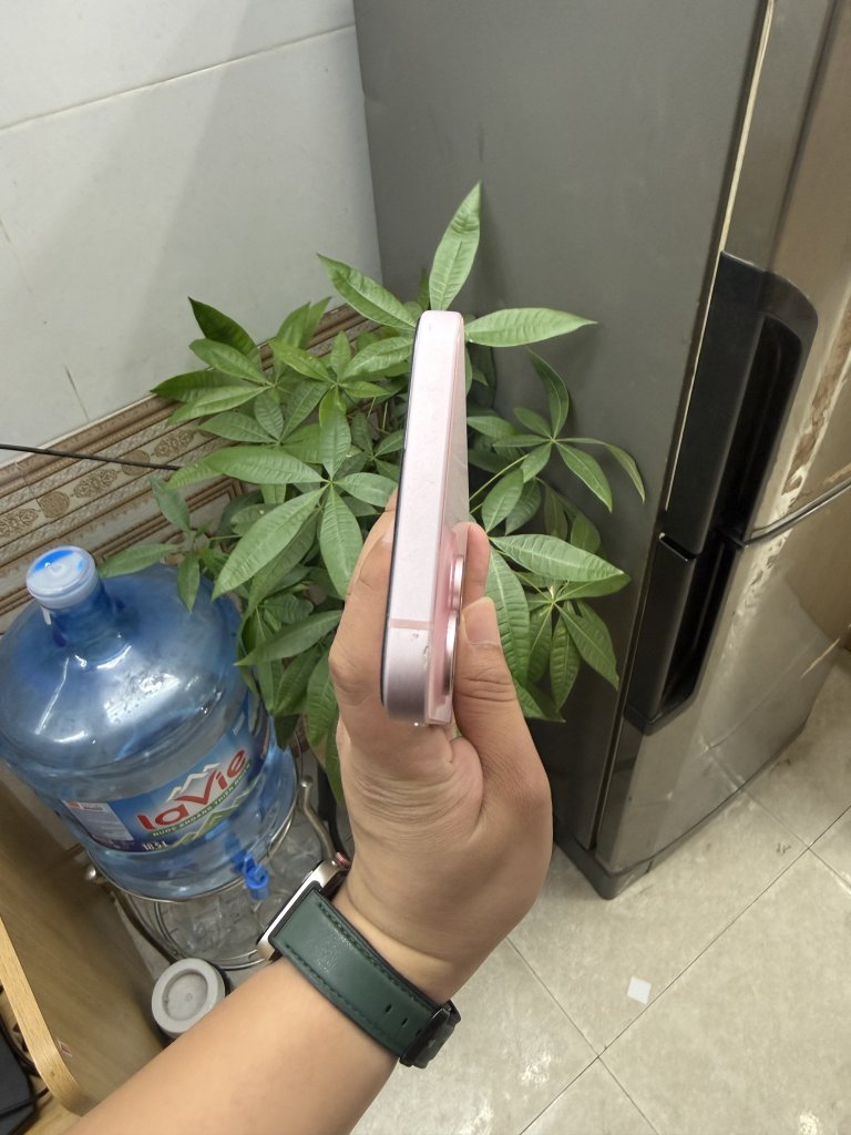 IMG_3980.jpeg