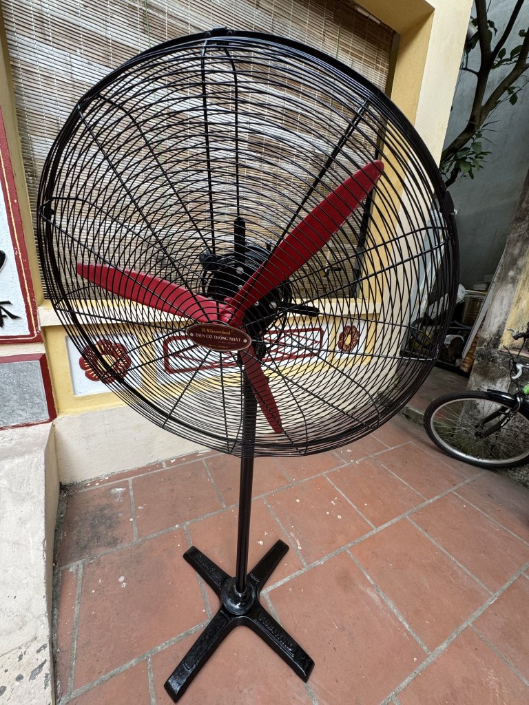 IMG_6395.jpeg