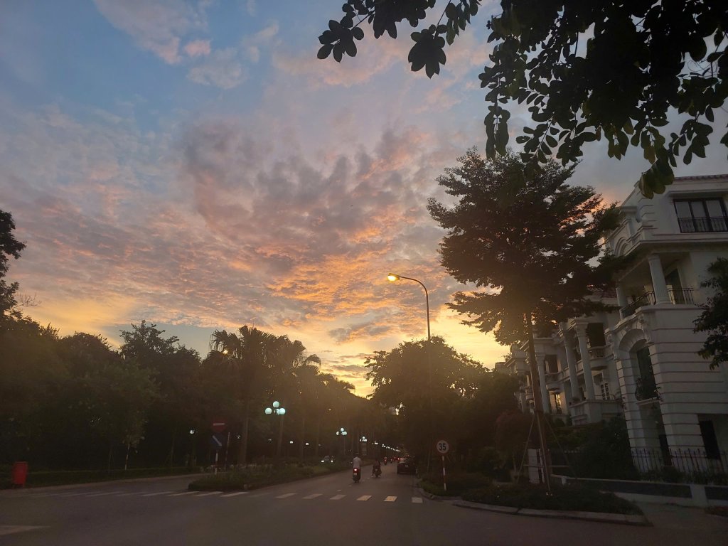 28b3a941c29543cb1a84.jpg