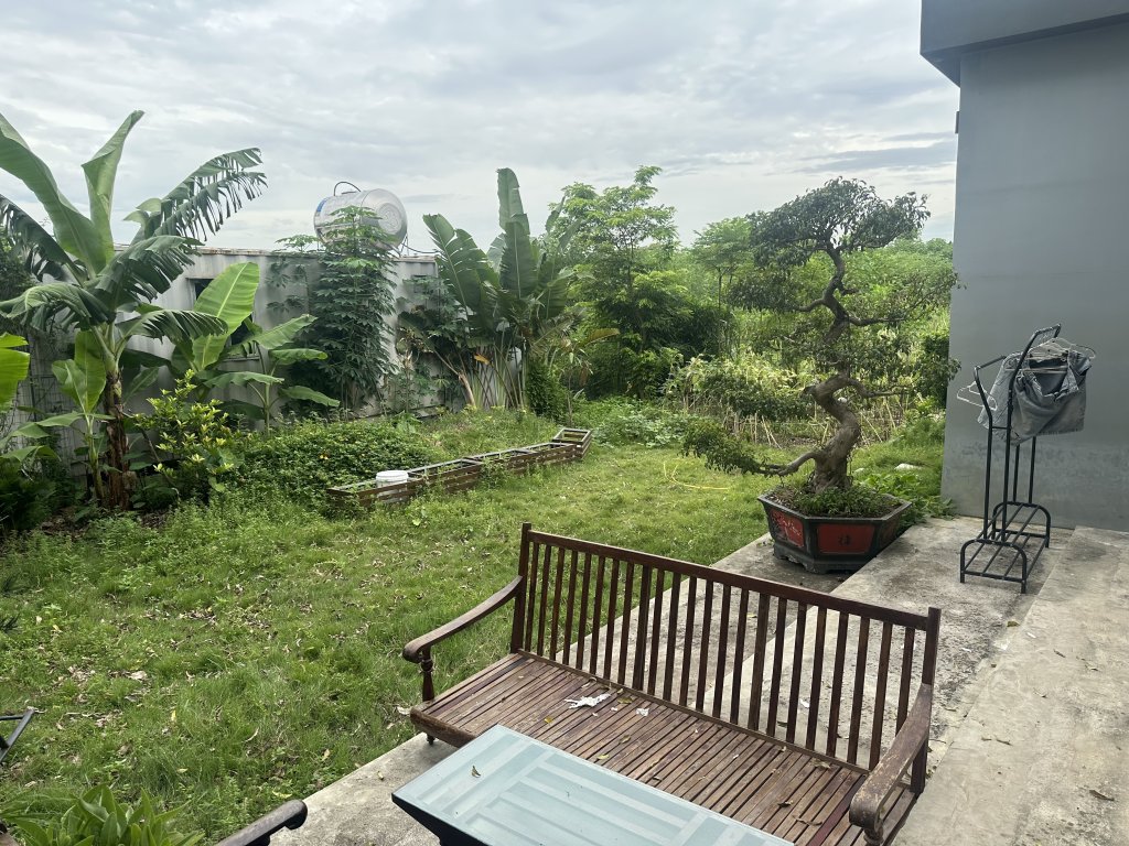 IMG_0312.jpeg