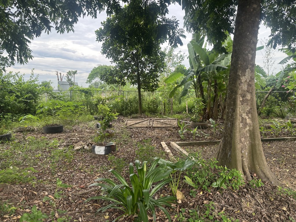 IMG_0310.jpeg