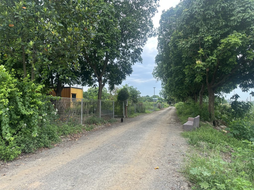 IMG_0307.jpeg