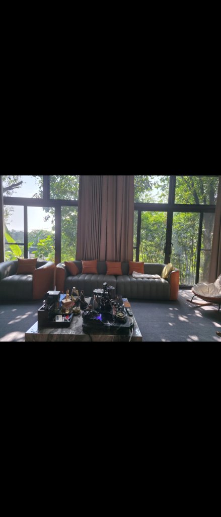 16097.jpg