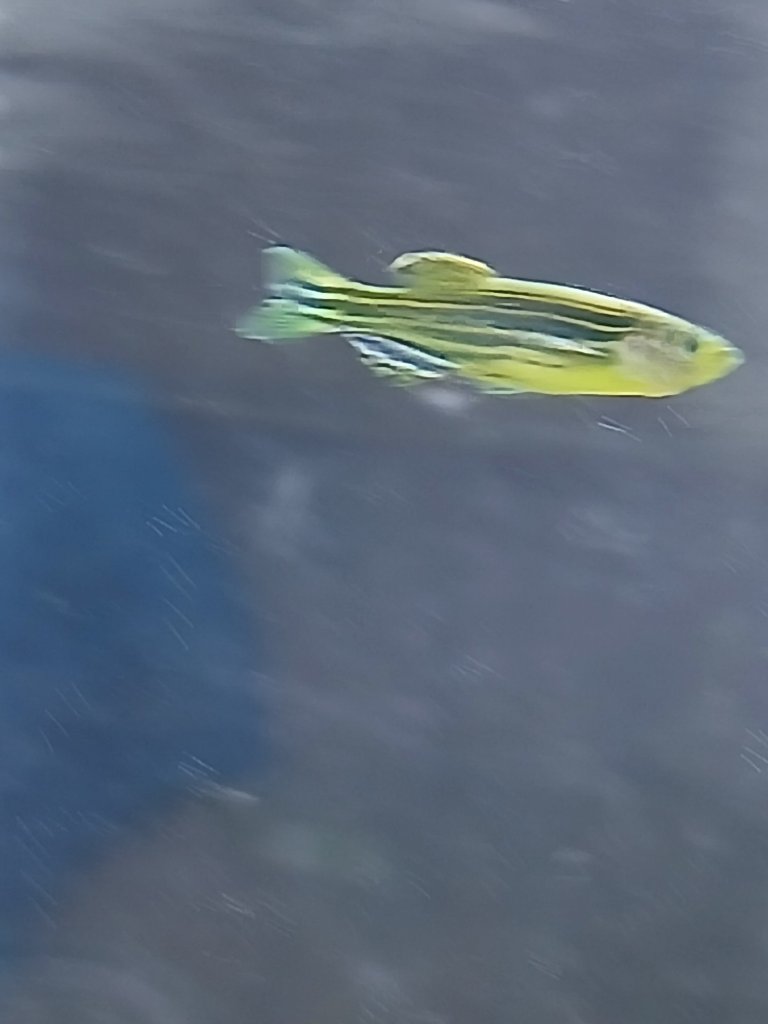 1000011206.jpg