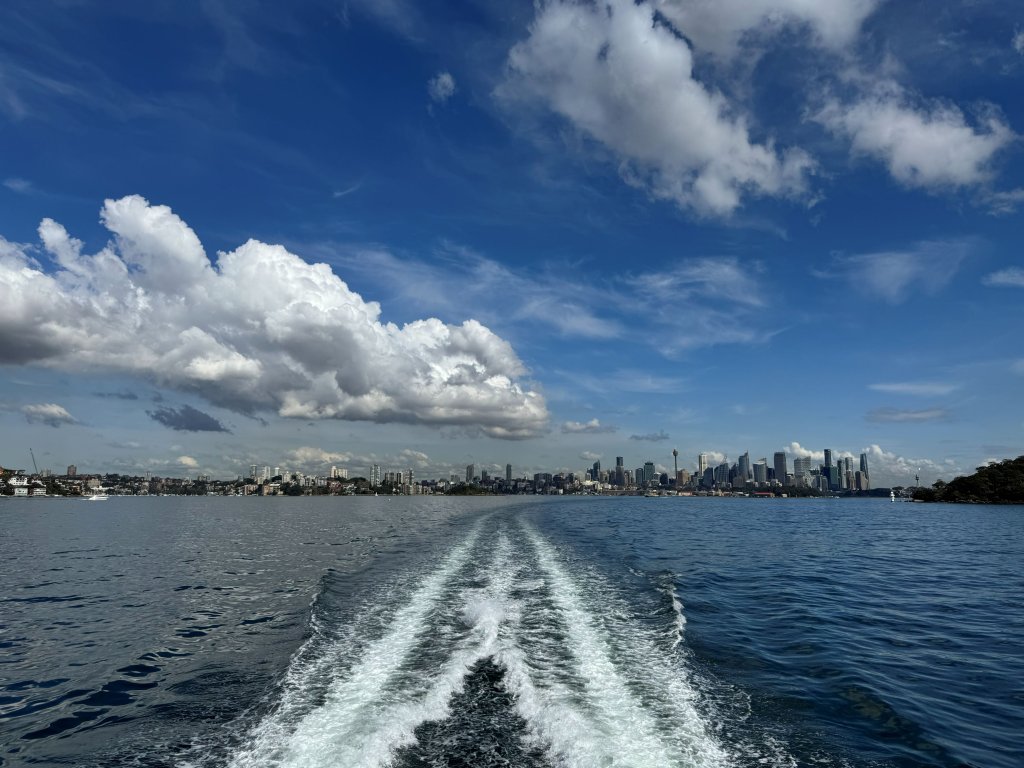 Syd - Skyline.jpg