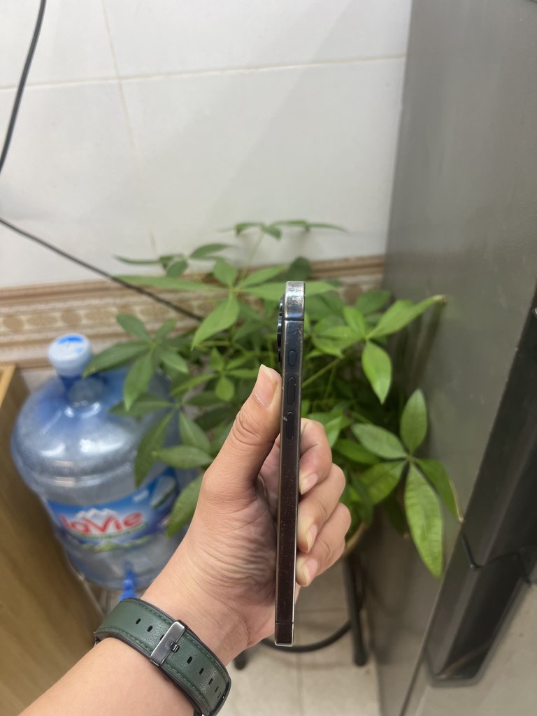 IMG_7459.jpeg