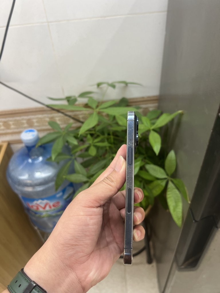 IMG_7460.jpeg