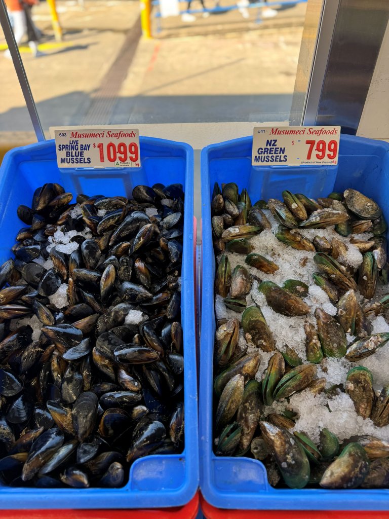 cho ca sydney.jpg