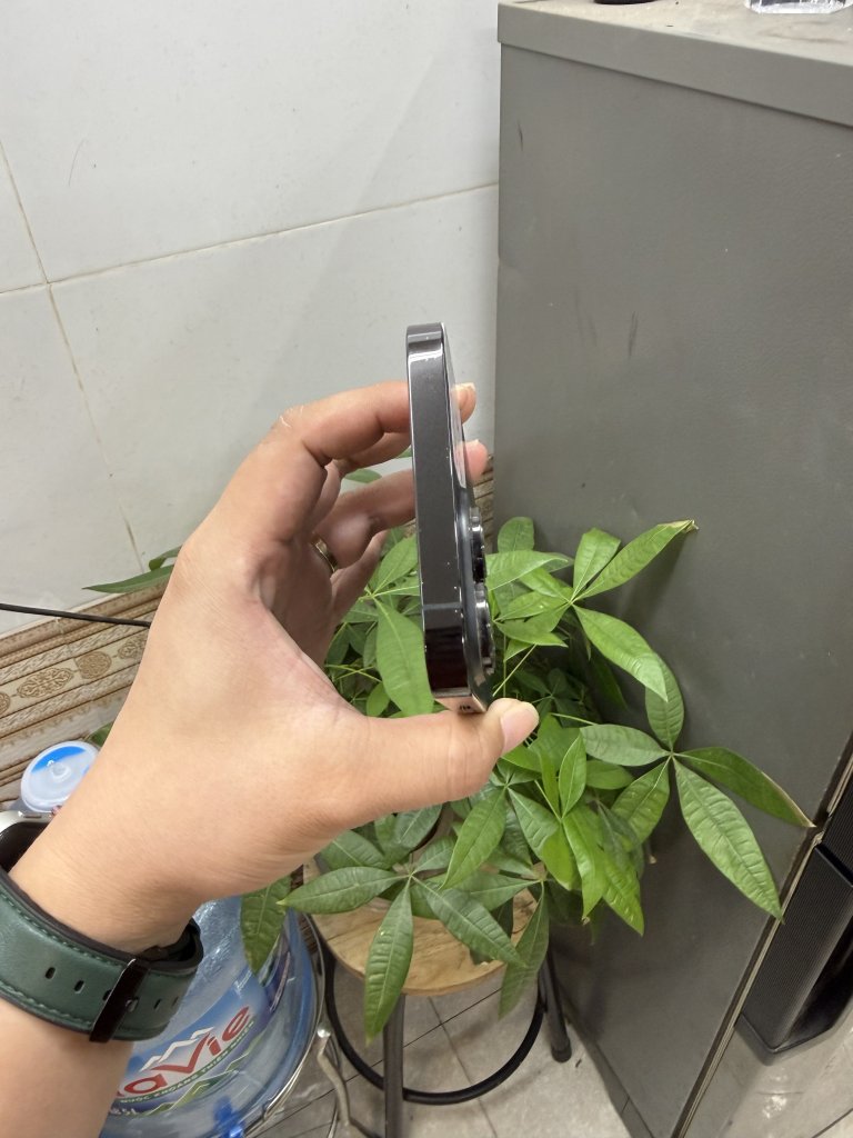 IMG_4298.jpeg