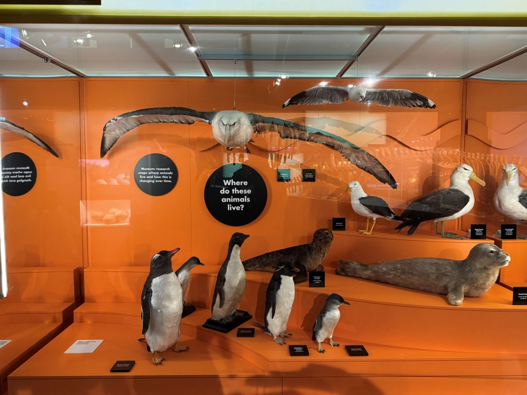 Melb Museum (thú).jpg