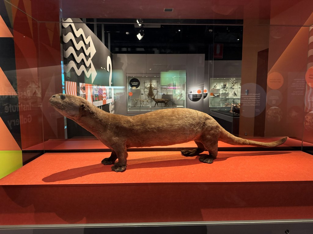 Melb Museum.jpg