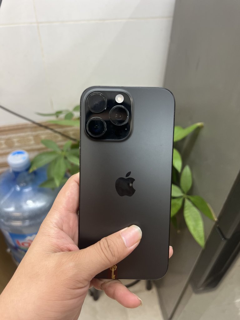 IMG_7501.jpeg