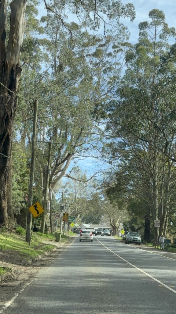 dandenong range road.JPG