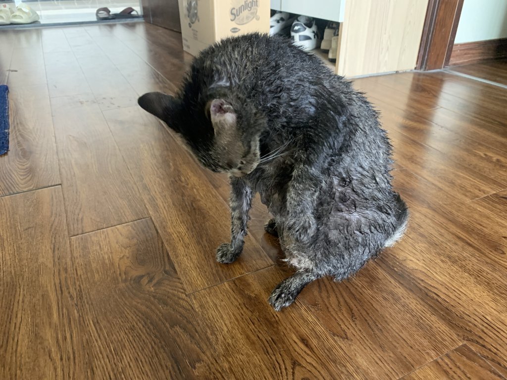 IMG_2930.jpeg