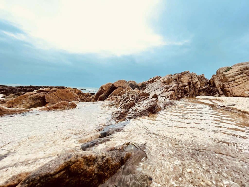 Quy Nhơn Tết (10).jpg