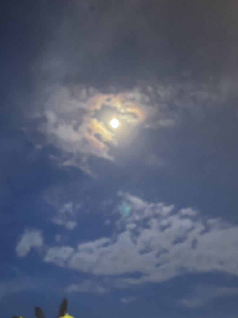 IMG_9560.jpeg