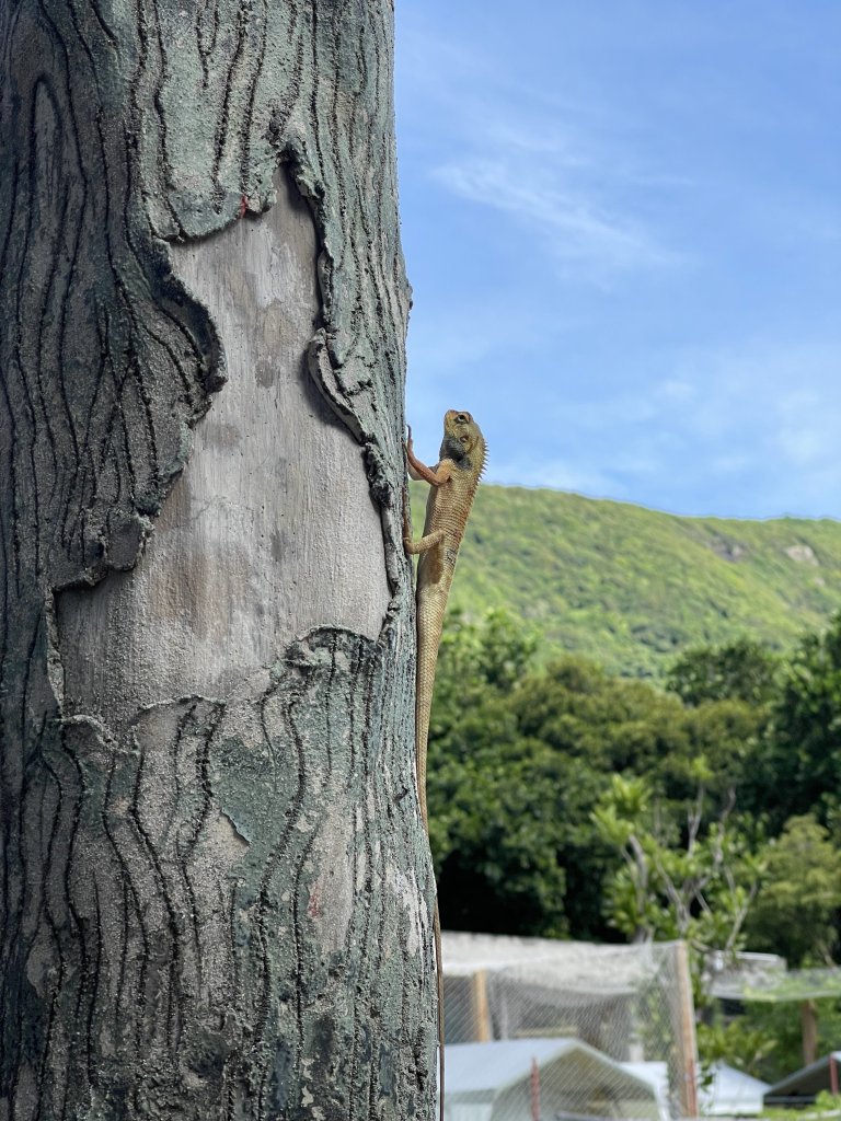 IMG_7542.jpeg