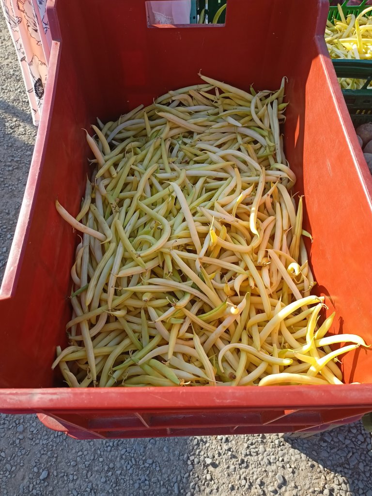 IMG20260627081041.jpg
