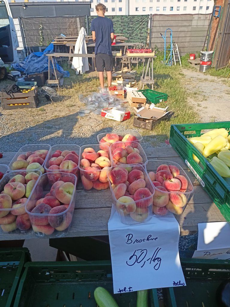 IMG20260627080942.jpg