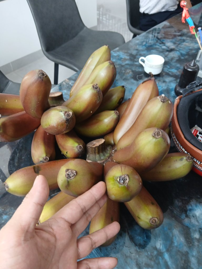 1000011278.jpg