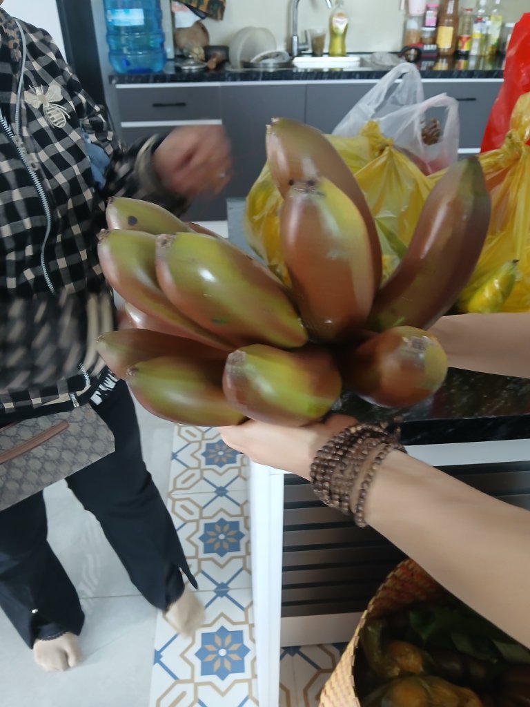 1000011277.jpg