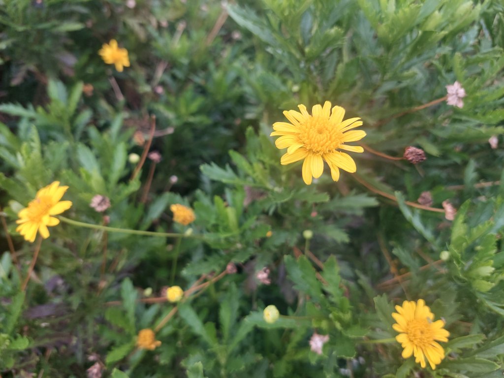 20260627_083959.jpg